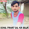 About Sohil Pahat Dil ka Raja Song